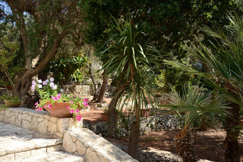 L'Antico Ulivo Villa Santa Cesarea Terme Exterior photo